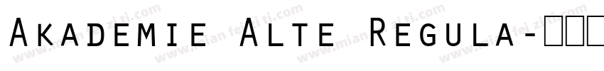 Akademie Alte Regula字体转换